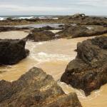 Narooma